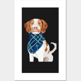 Brittany Spaniel Dog Posters and Art